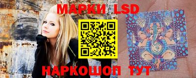 spice Берёзовский